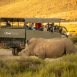 Aquila Safari Cape Town
