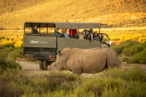 Aquila Safari Cape Town