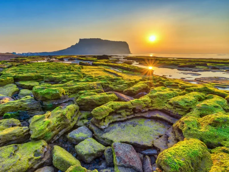 Things to Do in Jeju Island, South Korea