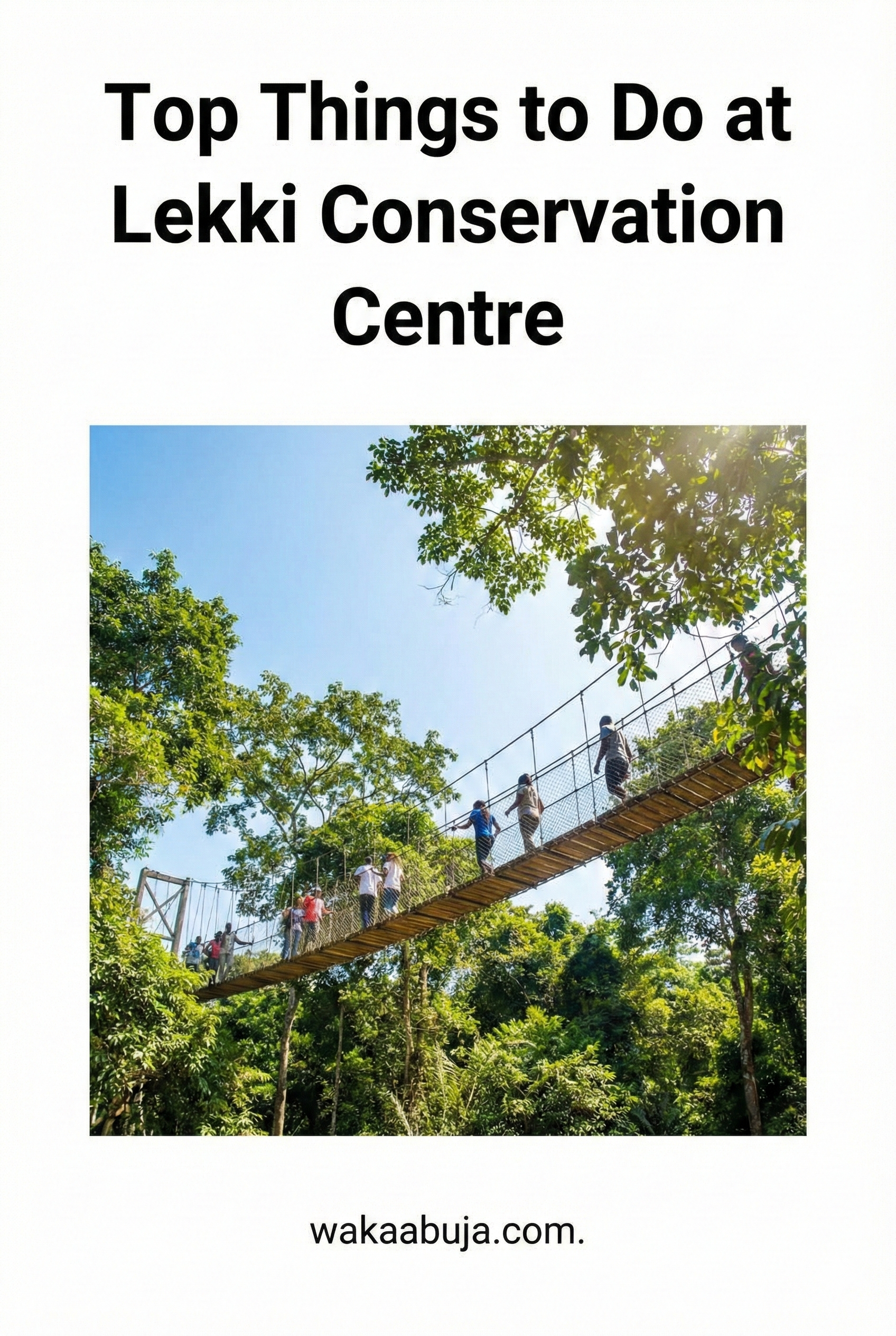 Top Things to Do at Lekki Conservation Centre