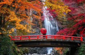 Best Places to Visit in the Fall
