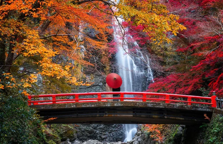 Best Places to Visit in the Fall
