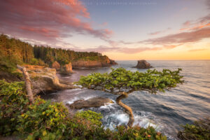 Cape Flattery
