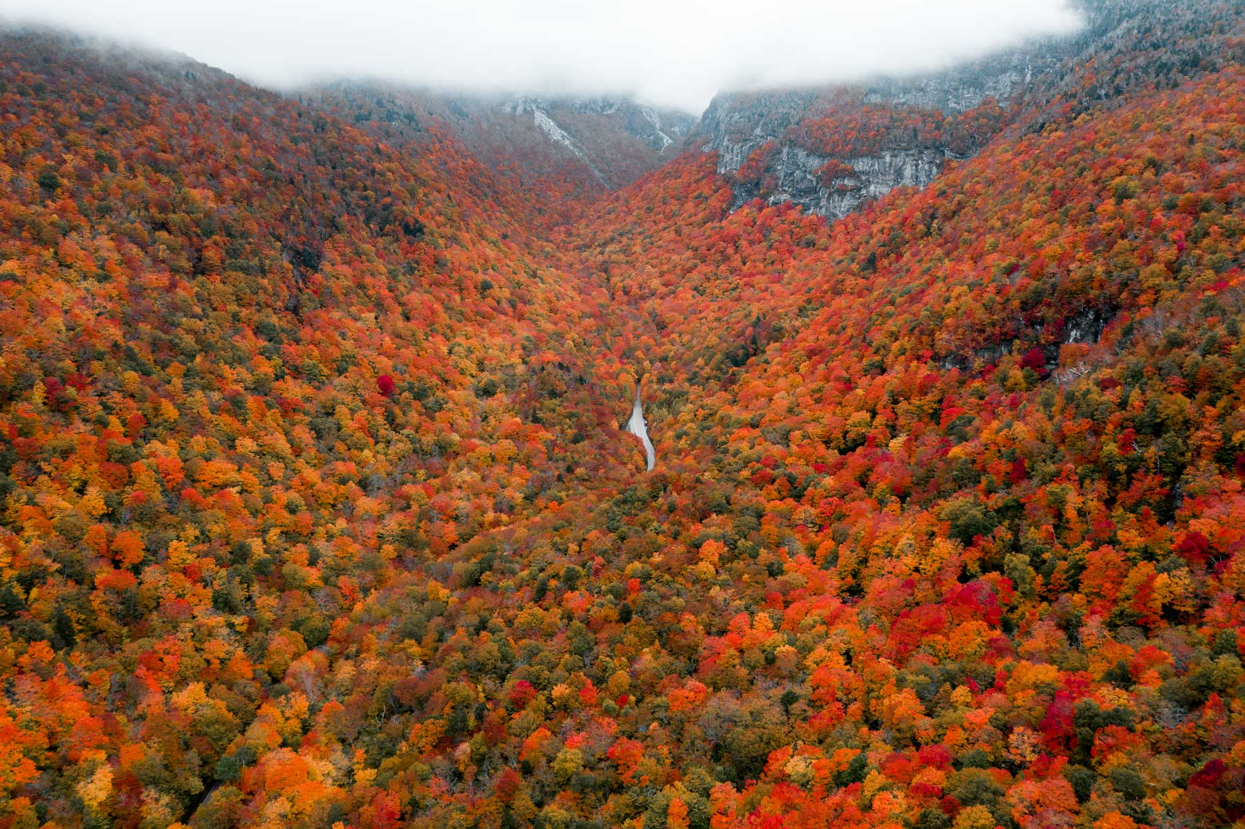Green Mountain National Forest