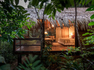 Amazon Tours in Brazil