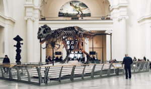 virtual museum tours uk