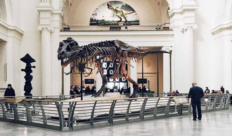 6 Best Virtual Museum Tours in Uk to Experience 5 virtual museum tours uk