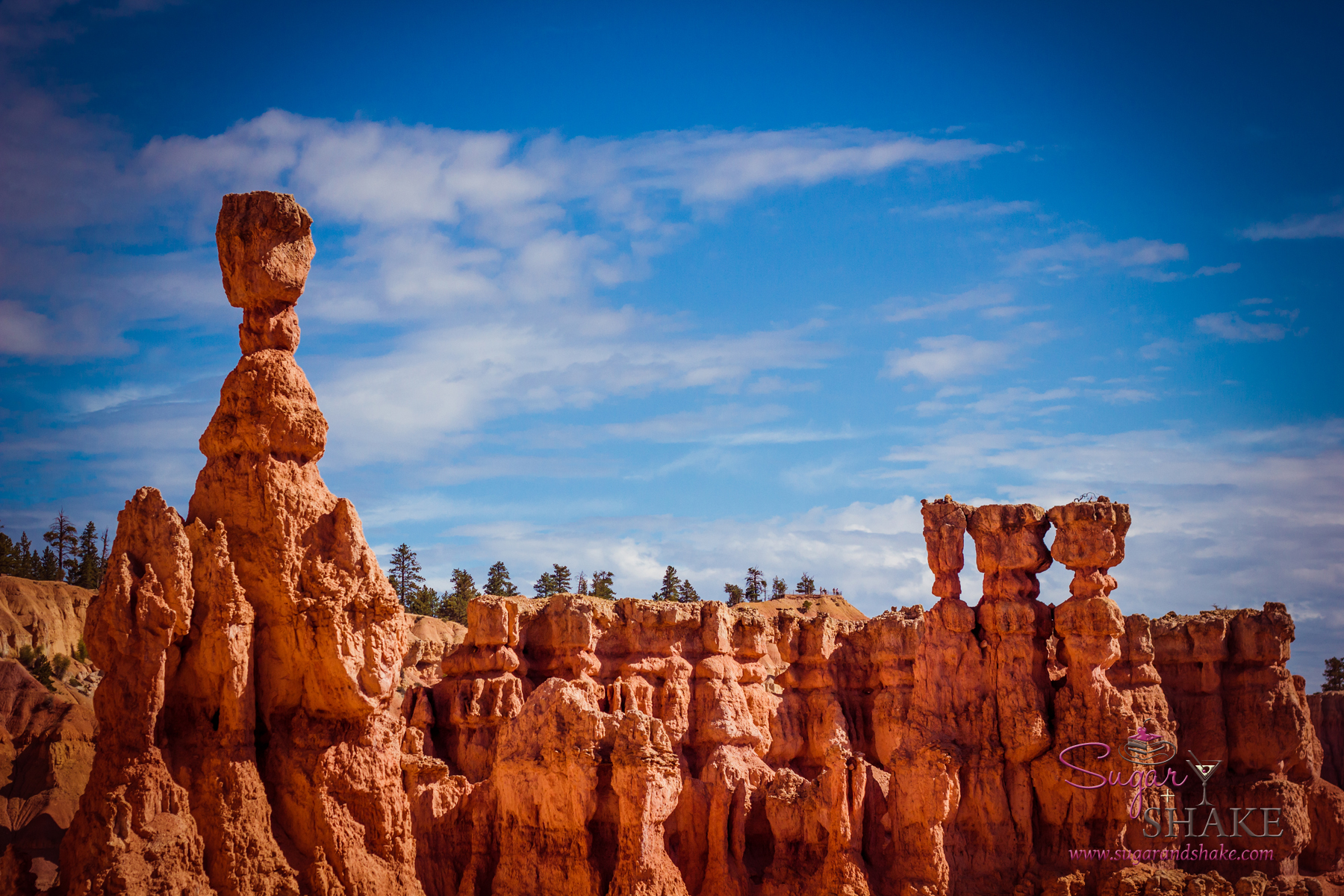 Bryce Canyon Hoodoos