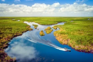 Everglades National Park
