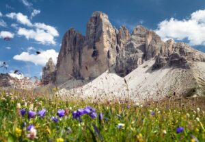 Tre Cime Nature Park