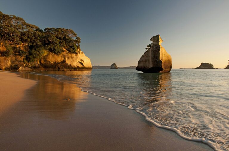 Trip to Coromandel Peninsula