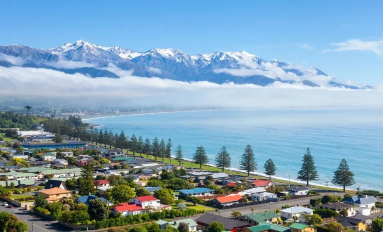 Planning Your Trip to Kaikōura: The Expert’s Guide for Visitors 19 Trip to Kaikōura