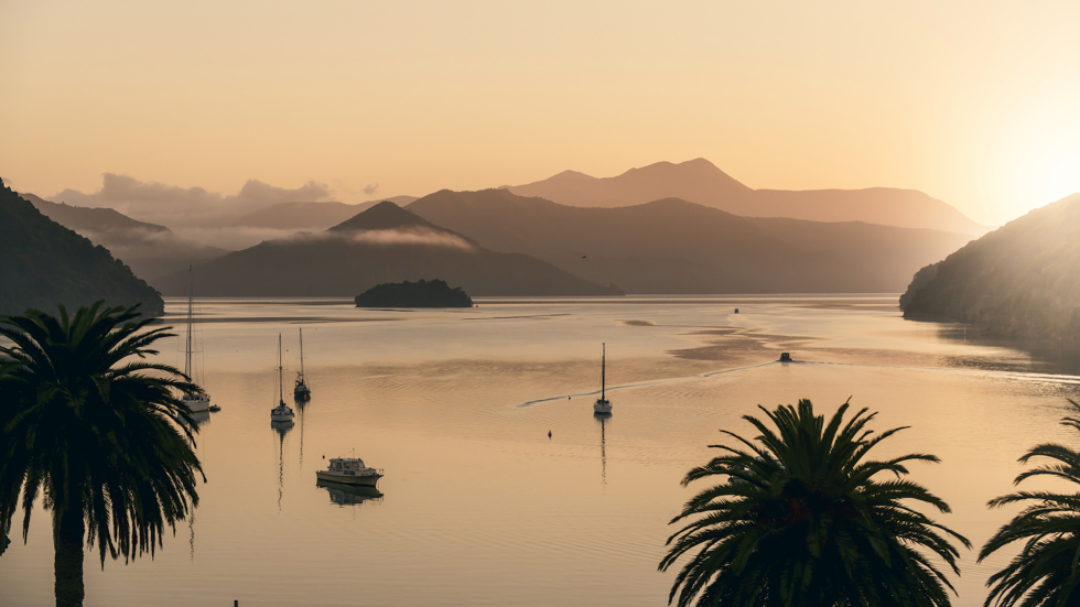 trip to marlborough sounds