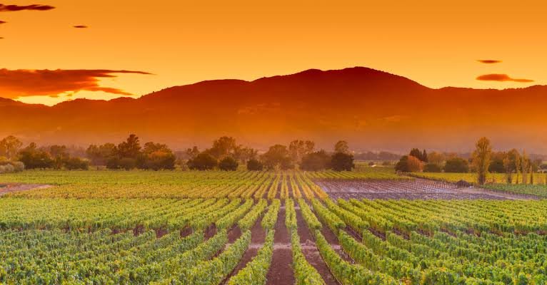 Central Valley California: The Complete Travel Guide (Cities, Things to Do & Tips) 10 Central Valley California
