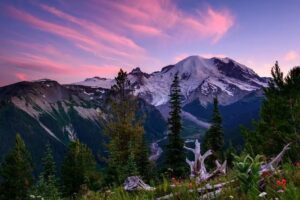 Rainier National Park