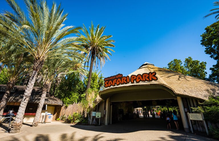 San Diego Safari Park: The Hour-by-Hour Plan, Real Cost & Best Time to Go 16 San Diego Safari Park