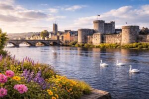 Trip to Limerick