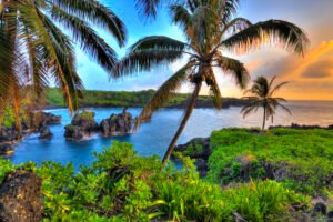 trip to Maui