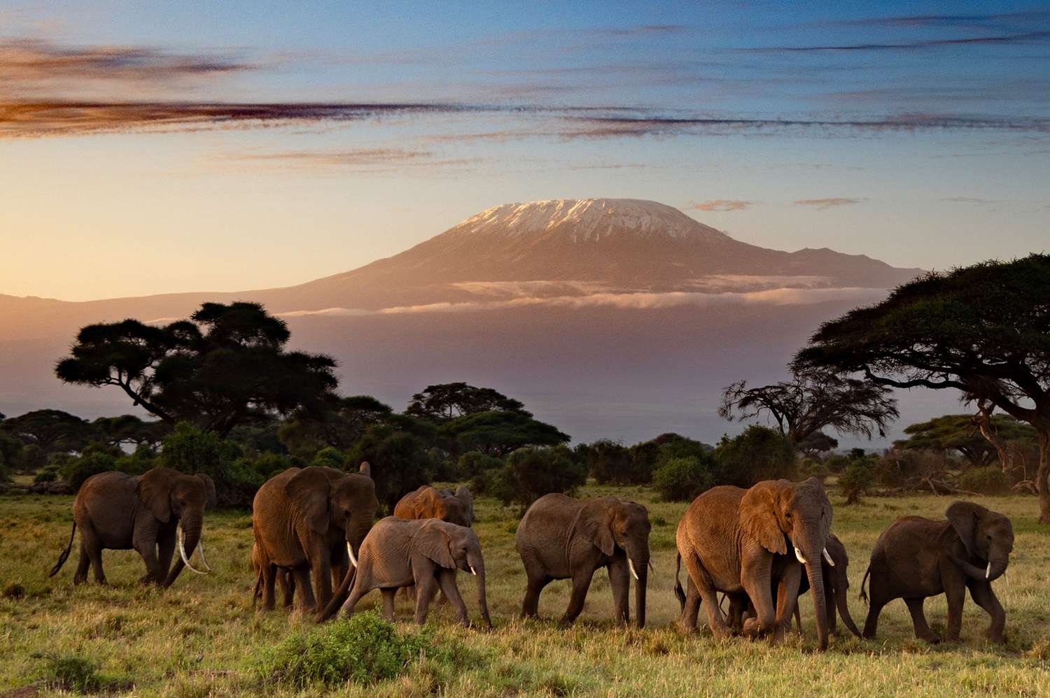 Amboseli National Park