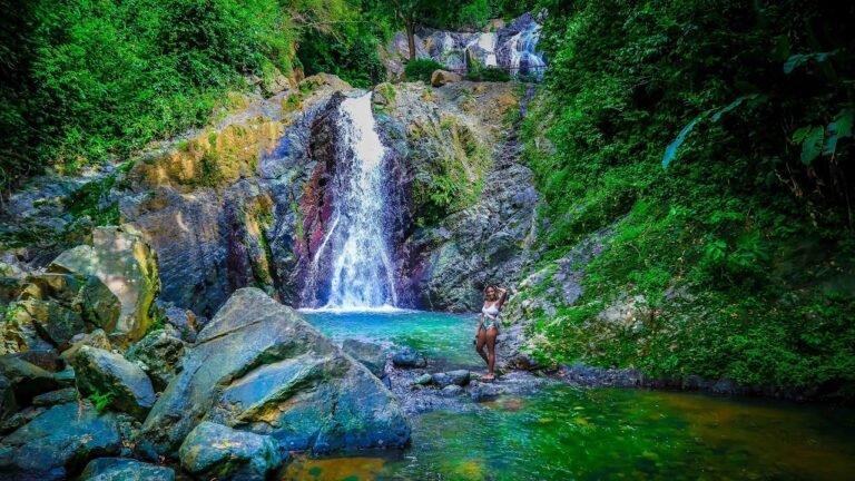 Argyle Waterfall, Tobago: Complete Visitor Guide (Cost, Hike & Tips) 4 Argyle Waterfall