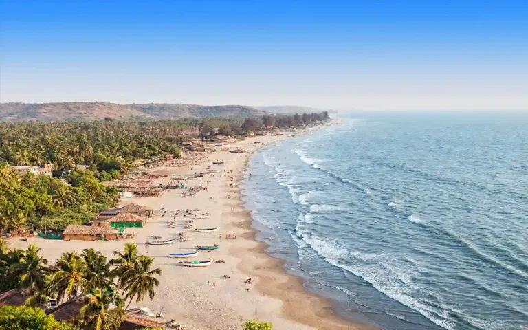 Galgibaga Beach, Goa: Complete Visitor Guide (Turtles, Timings & How to Reach) 12 Galgibaga Beach