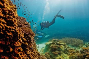 Great Barrier Reef, Australia