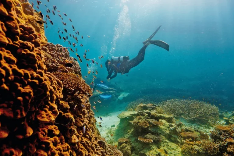 Great Barrier Reef, Australia