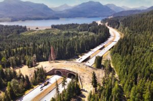 Wildlife Crossing