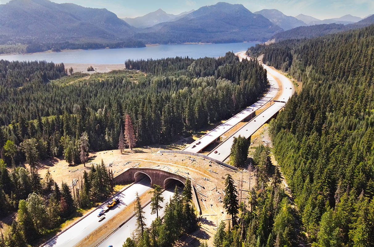 Wildlife Crossing