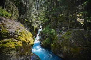 avalanche creek glacier national park montana