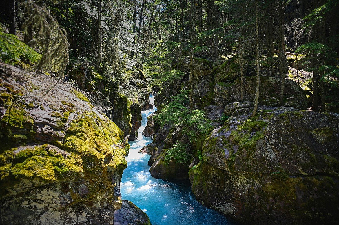 avalanche creek glacier national park montana
