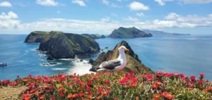 channel islands national park