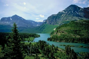 glacier national park in montana
