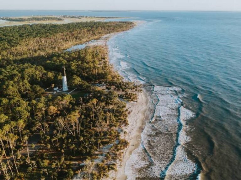Hunting Island State Park: The Complete Visitor's Guide (Lighthouse, Camping & Beaches) 7 hunting island
