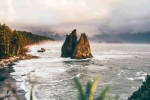 olympic national park