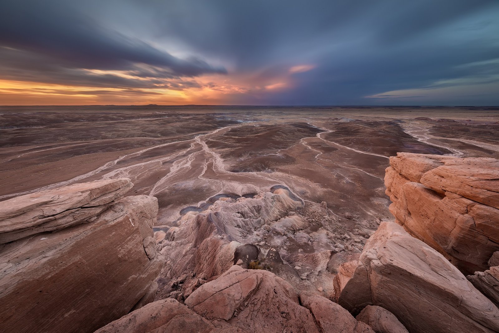 petrified forest national park