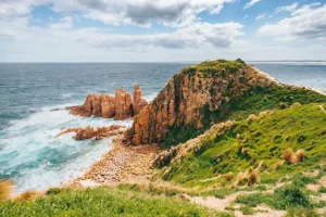 phillip island australia