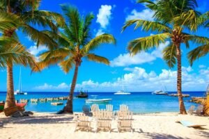 saona island tropical paradise