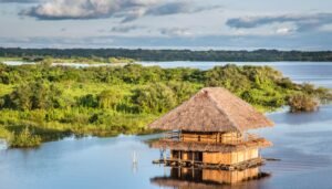 travel to amazon rainforest
