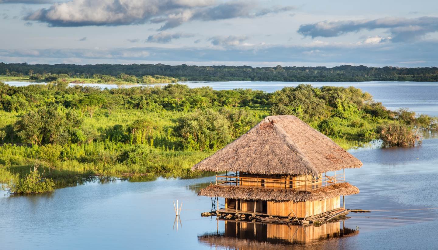 travel to amazon rainforest
