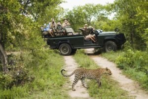 wildlife exploration tours