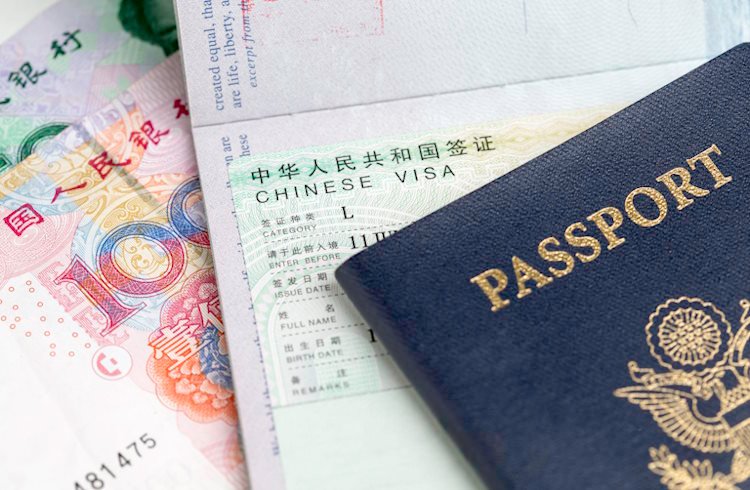 What Is a Travel Visa