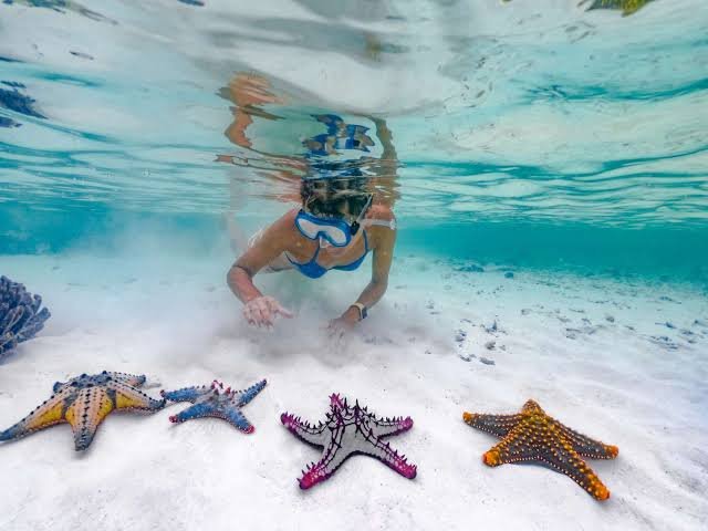 best places to snorkel