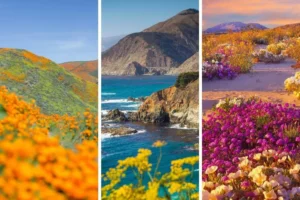 best places to visit in spring