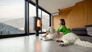 pet friendly vacation rentals