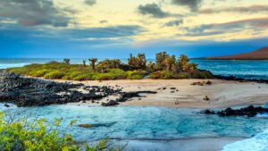 travel to galápagos islands