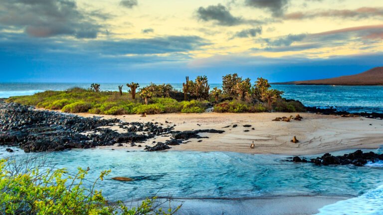 travel to galápagos islands