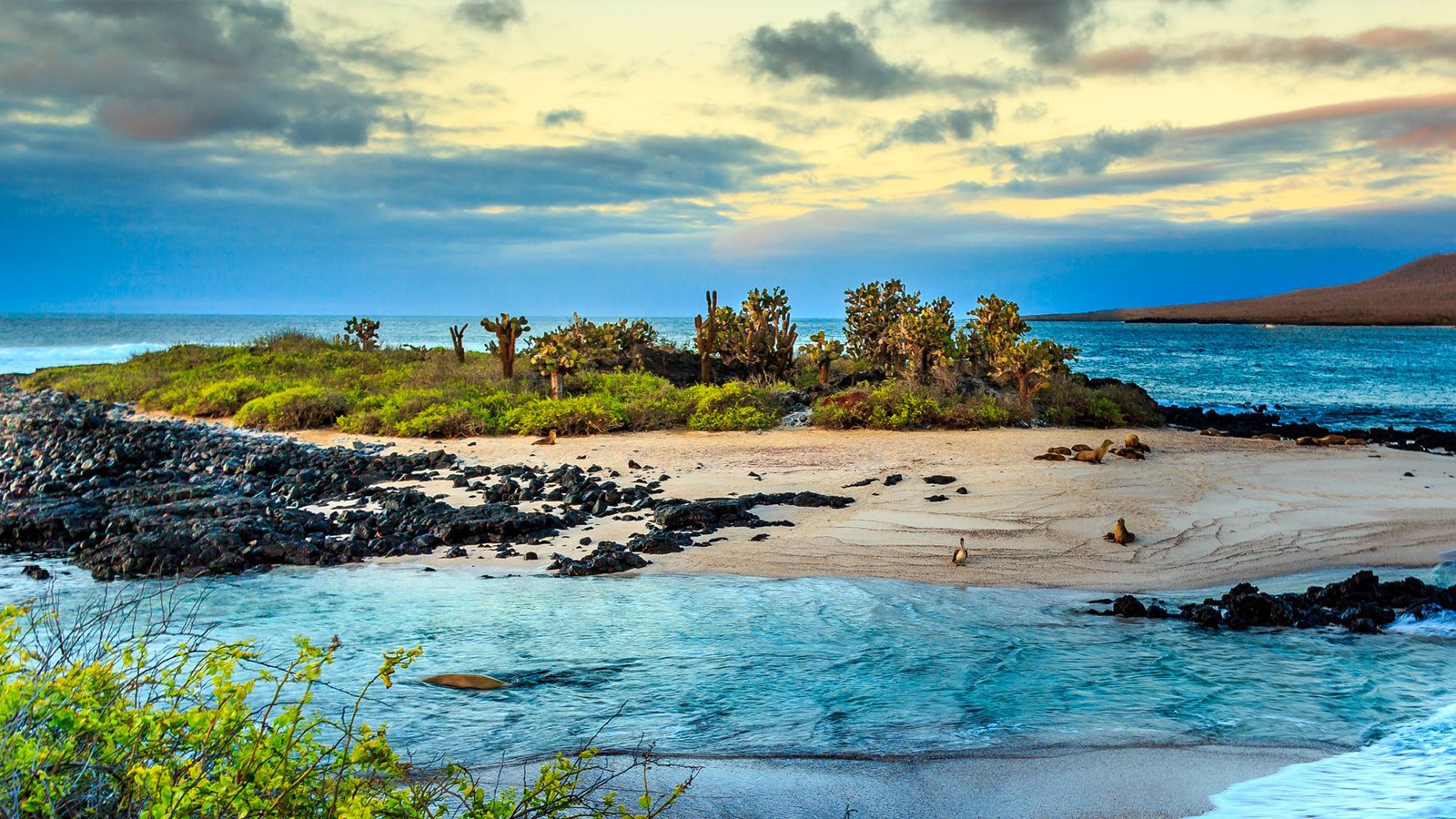 travel to galápagos islands