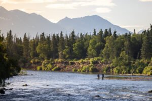 katmai national park