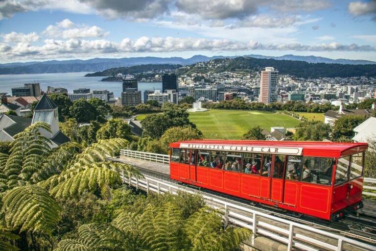 trip to auckland new zealand
